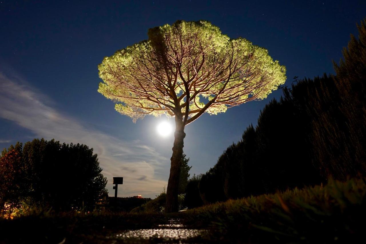 Agriturismo Buon Riposo - Country Resort In The Heart Of Tuscany San Giovanni a Corazzano Buitenkant foto