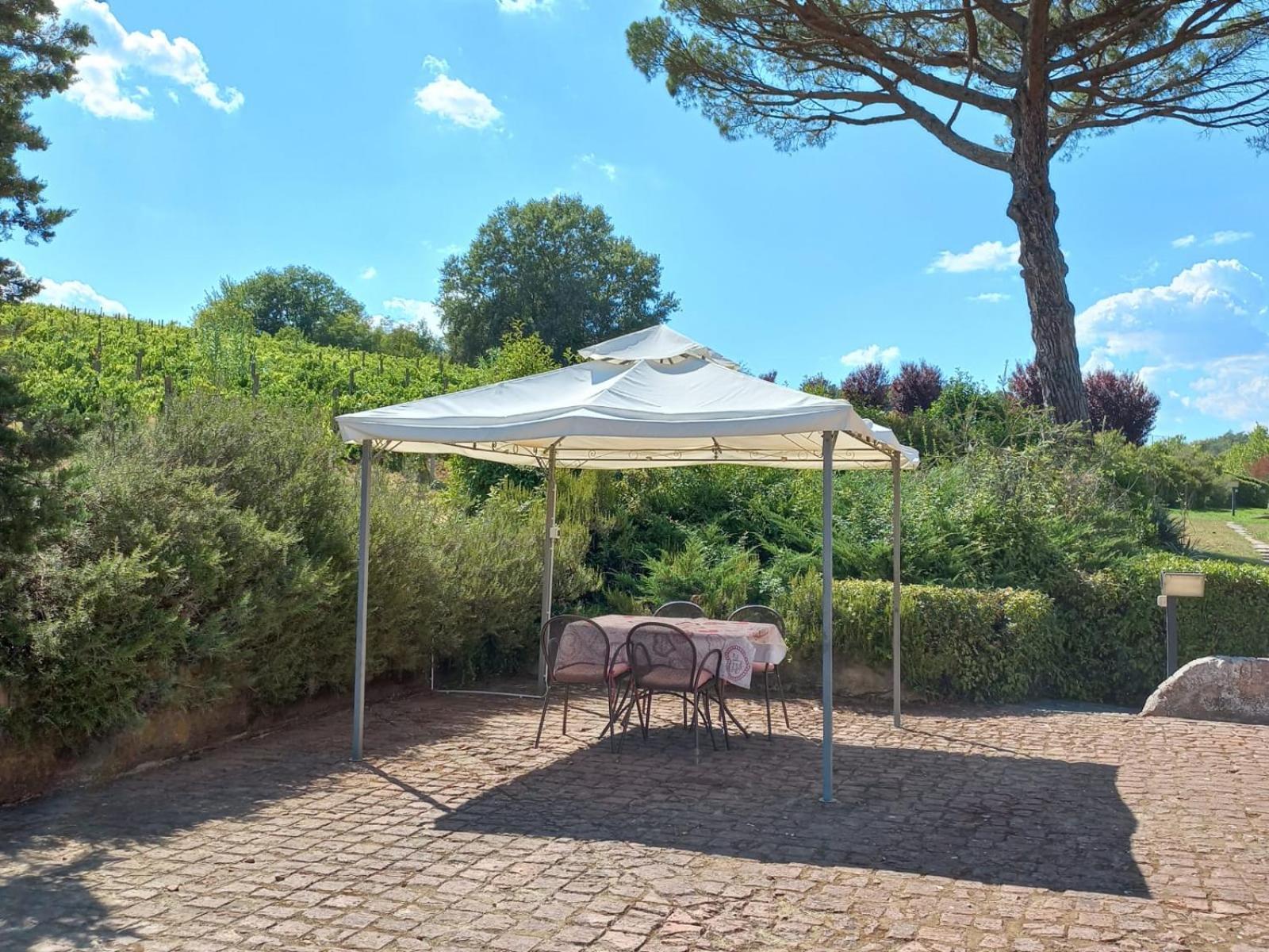 Agriturismo Buon Riposo - Country Resort In The Heart Of Tuscany San Giovanni a Corazzano Buitenkant foto
