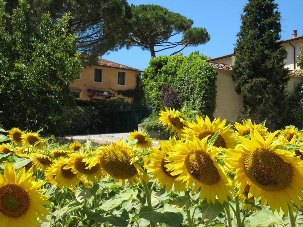 Agriturismo Buon Riposo - Country Resort In The Heart Of Tuscany San Giovanni a Corazzano Buitenkant foto