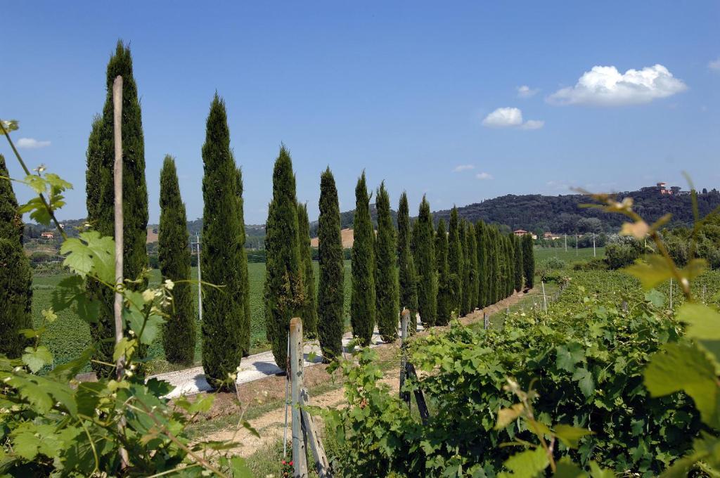 Agriturismo Buon Riposo - Country Resort In The Heart Of Tuscany San Giovanni a Corazzano Buitenkant foto